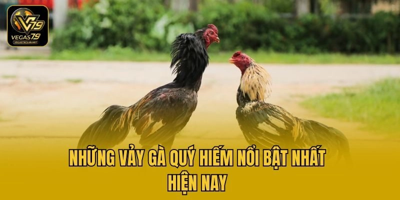 Những vảy gà quý hiếm nổi bật nhất hiện nay