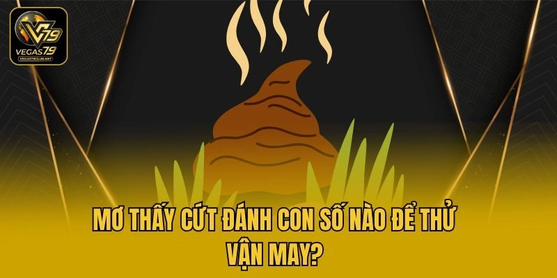 Mơ thấy cứt đánh con số nào để thử vận may?