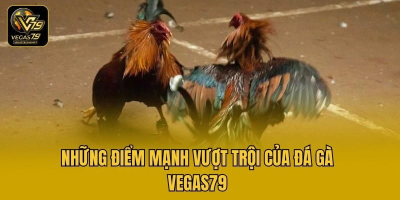 Những điểm mạnh vượt trội của đá gà Vegas79